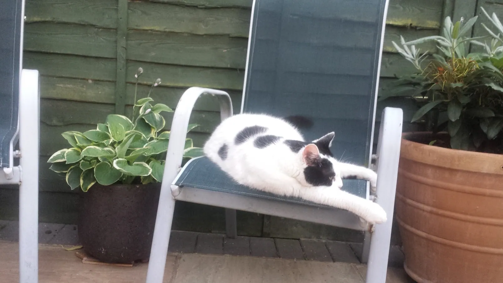 F18 marshall relaxing 18 june 2017 (2)